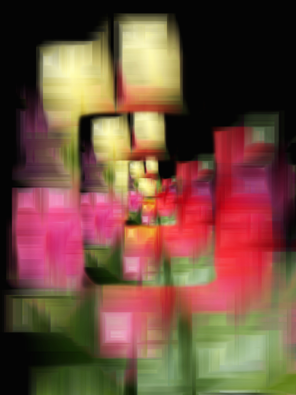 Through a Cubist Lens